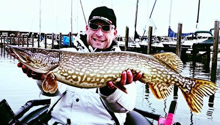 Lengte onbekend, maar wel een echte schoonheid!